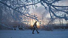 Ночь на 12 января в Москве может стать самой холодной с начала зимы