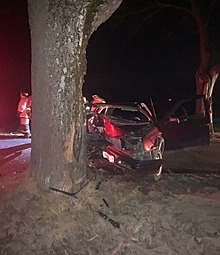 Очевидцы: в Калининграде Ford врезался в дерево и опрокинулся