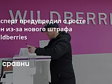 Эксперт предупредил о росте цен из-за нового штрафа Wildberries
