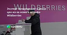 Эксперт предупредил о росте цен из-за нового штрафа Wildberries