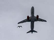 Двигатели импортозамещенного Superjet 100 испытали на птицах