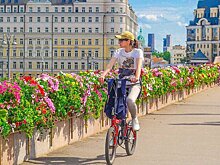 В Москве открываются новые площадки фестиваля "Сады и цветы"