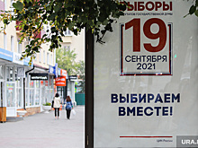 Курганские бизнесмены заработают на выборах в Госдуму