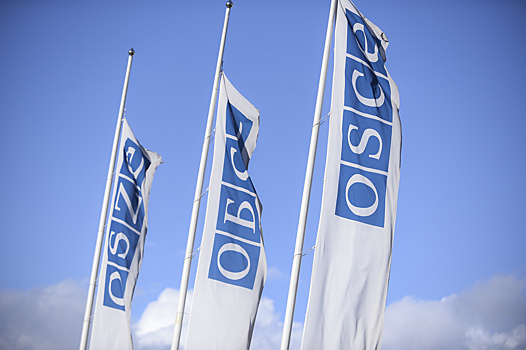 ОБСЕ заявила о продвижении ВСУ