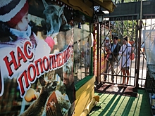 «Победа» над ставропольским зоопарком