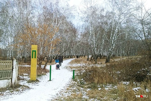 Свято место: жителей посёлка под Челябинском рассорил проекта храма в парке