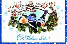 В Барнауле разработали эскизы для новогодних плакатов