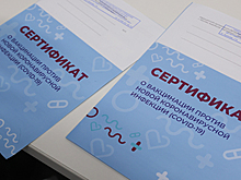 Жительница Петербурга обнаружила сертификат вакцинации на «Госуслугах», но прививку она не делала