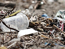 На Алтае село Косиха зарастает мусором из-за задержек с вывозом ТКО