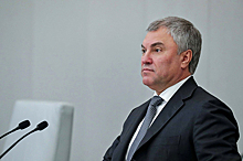 Первый вице-спикер Думы изучит высказывания судьи КС Арановского о правопреемстве России