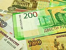 Власти Ленобласти субсидируют работы по реабилитации диких животных
