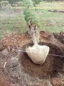 «Лунными кратерами» в Яранском районе заинтересовались госорганы