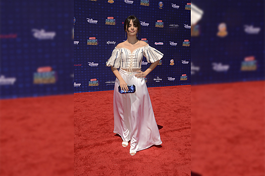 Шона Мендеса и Камилу Кабелло ждут судебные разборки