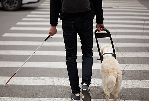 В России создали «электронные глаза» для слепых