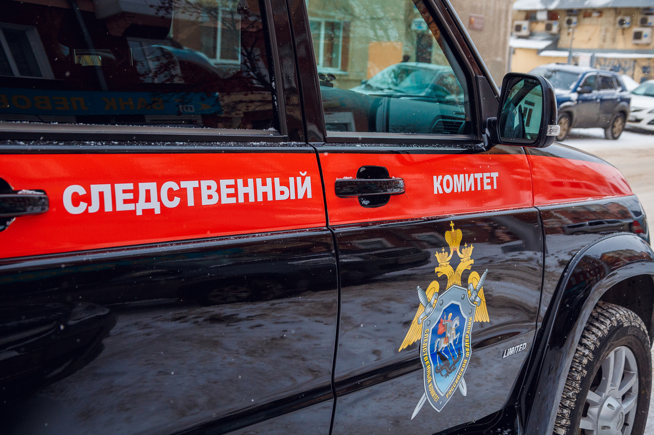 В Кемеровской области — Кузбассе возбуждено уголовное дело по сообщениям, выявленным в СМИ, о нападении в Киселевске бездомных собак на…