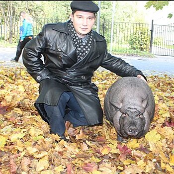 Свинья разрушила московскую семью