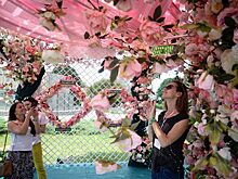 В столице пройдет Moscow Flower Show