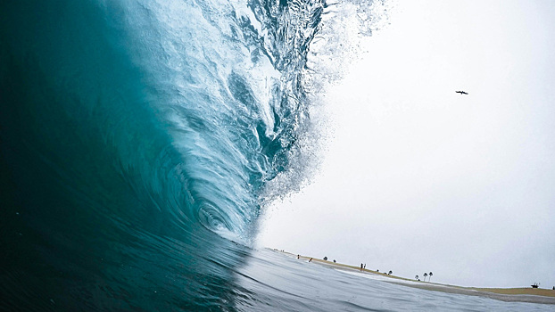 В США огромная волна обрушилась на пляж с людьми