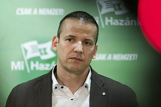 Депутат парламента Венгрии обратился к Дмитрию Медведеву с просьбой из-за Украины