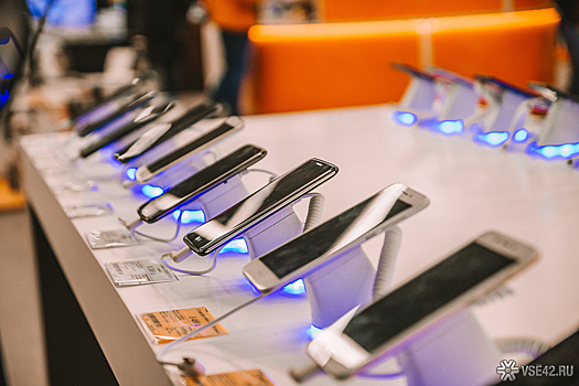 Гаджеты на 13 миллионов рублей незаконно попали на полки сибирских магазинов