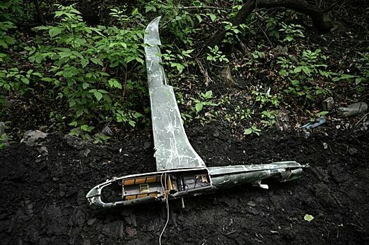 В Госдуме назвали провокацией инцидент с беспилотниками над Польшей