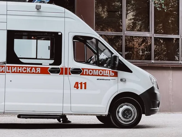 Стали известны подробности ЧП с падением дерева на мать с ребенком в Самаре