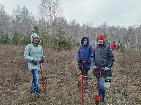 Участники «Другого Дела» спасли 200 деревьев