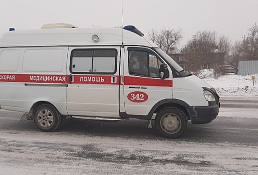 В Омской области двое детей получили тяжелые травмы после ДТП с косулей