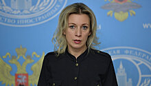 Захарова рассказала, что Москву интересует по делу Челика
