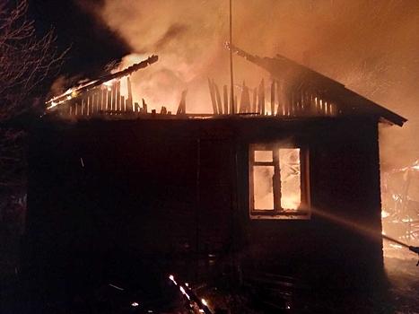 Женщина и двое детей погибли при пожаре в Подмосковье
