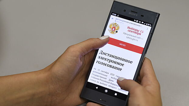 На онлайн-голосовании в Москве явка составила 95,6%