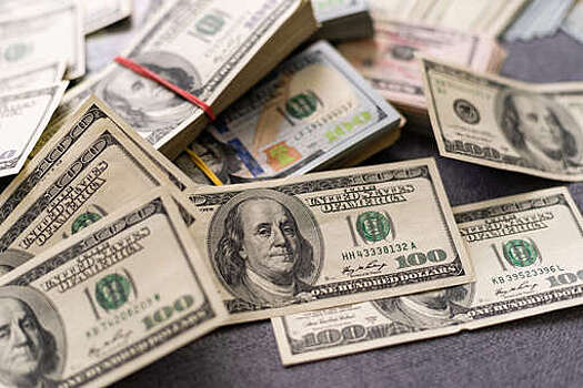 Экономист Беляев назвал нецелесообразным хранение сбережений в долларах