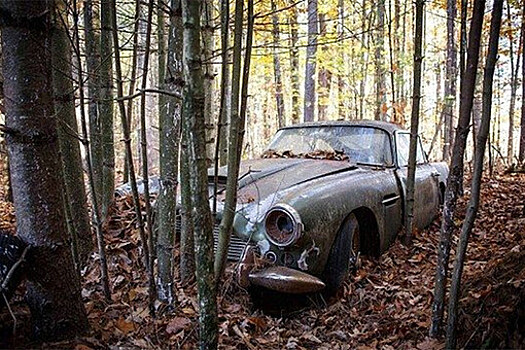 В США в лесу нашли брошенный 40 лет назад автомобиль Aston Martin за $500 тысяч