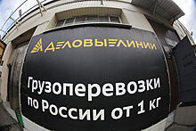 «Деловым линиям» не удалось оспорить доначисление налогов на 1,6 млрд рублей