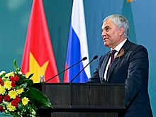 Володин: В 2024 году товарооборот между РФ и Вьетнамом составил 6 млрд долларов