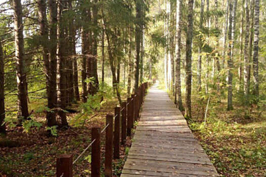 Куда россияне едут осенью: топ-5 национальных парков