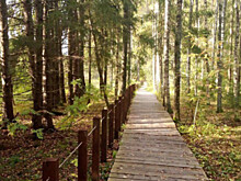 Куда россияне едут осенью: топ-5 национальных парков