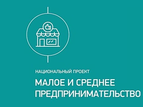 Микрозаймы в 2020 году получили 292 тамбовских предпринимателя