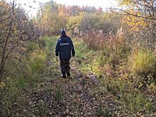 Спасатели и добровольцы с начала года вывели из лесов Подмосковья 50 заблудившихся