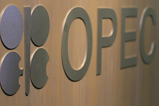 Добыча нефти ОПЕК сократилась в декабре