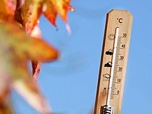 1 октября в Липецкую область вернулась летняя жара