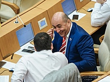 Свердловских полицейских поощрят за поимку уподобившихся Карапетяну депутатов