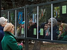 В Дендропарке открылась выставка из 72 фотографий птиц и животных за трапезой