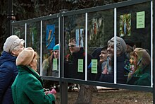 В Дендропарке открылась выставка из 72 фотографий птиц и животных за трапезой