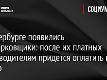 В Петербурге появились лжепарковщики: после их платных услуг водителям придется оплатить и штраф
