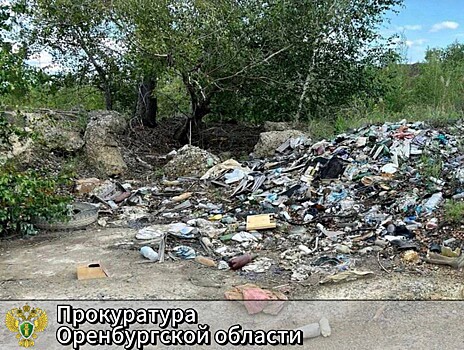 Администрацию Медногорска обязали очистить город от мусора