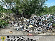 Администрацию Медногорска обязали очистить город от мусора