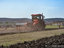 Как бы уродиться