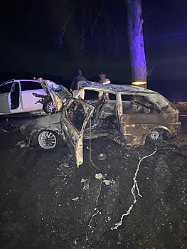 На Зеленоградской трассе ночью в ДТП сгорел автомобиль