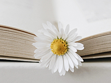 6 книг, которые стоит прочесть этим летом